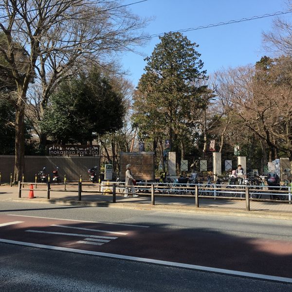 井の頭恩賜公園 - トップ画像