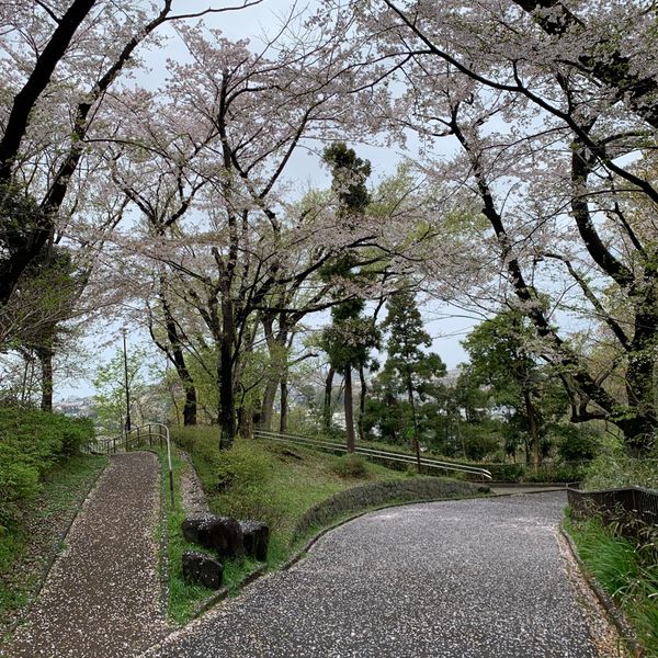 弘明寺公園 - おすすめ画像