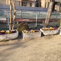 小泉河原第1号児童公園 - 投稿画像2
