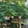 大吉山風致公園 - トップ画像