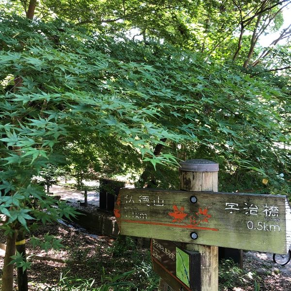 大吉山風致公園 - おすすめ画像