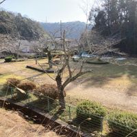 若宮公園 - 投稿画像3