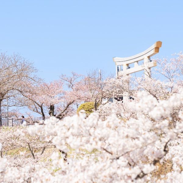 日和山公園 - おすすめ画像