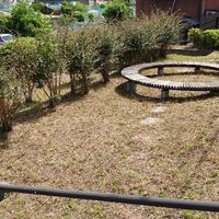 古市町第4号街区公園 - 投稿画像1