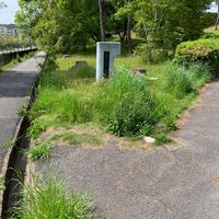 青山公園 - 投稿画像0