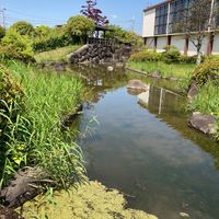 清涼院池公園 - 投稿画像2