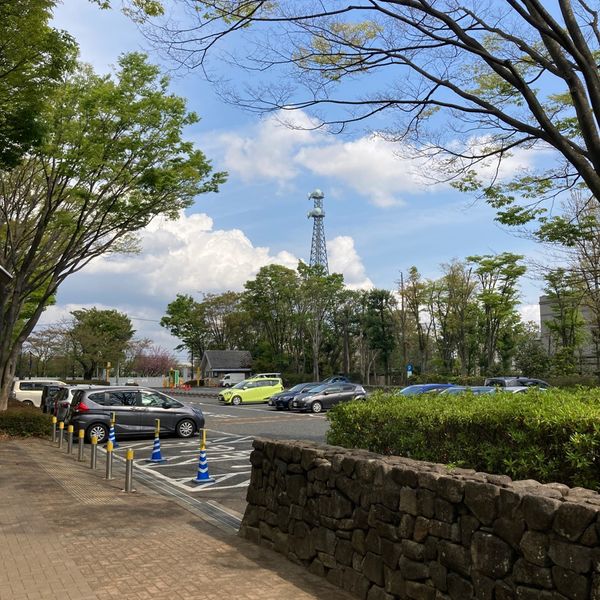 府中の森公園 府中の森公園駐車場 - トップ画像