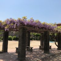 常盤野 - 投稿画像3