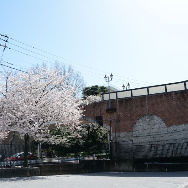 Akabane Ryokudo Koen - おすすめ画像