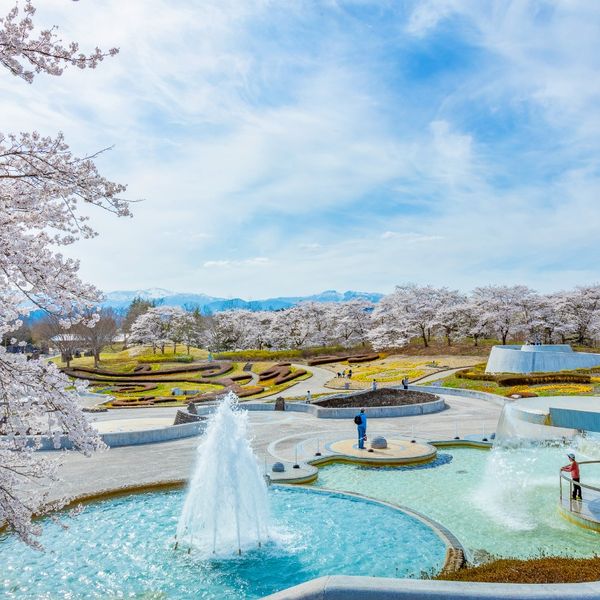 国営みちのく杜の湖畔公園 - おすすめ画像