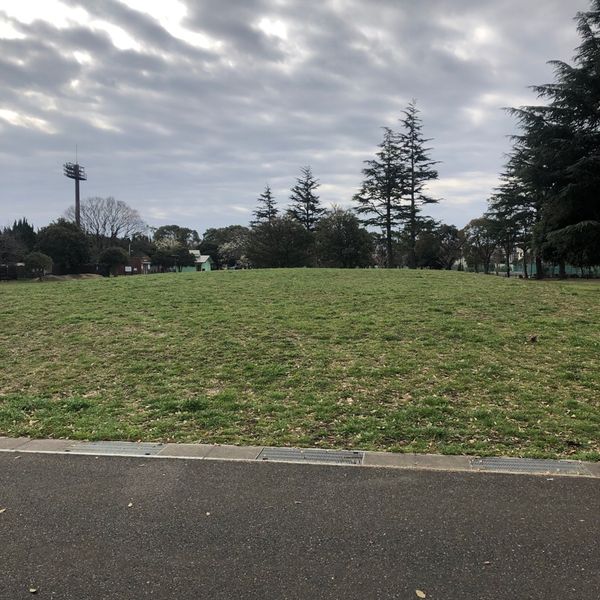 篠崎公園 多目的広場 - トップ画像
