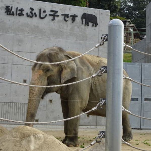 欠城跡 - おすすめ画像