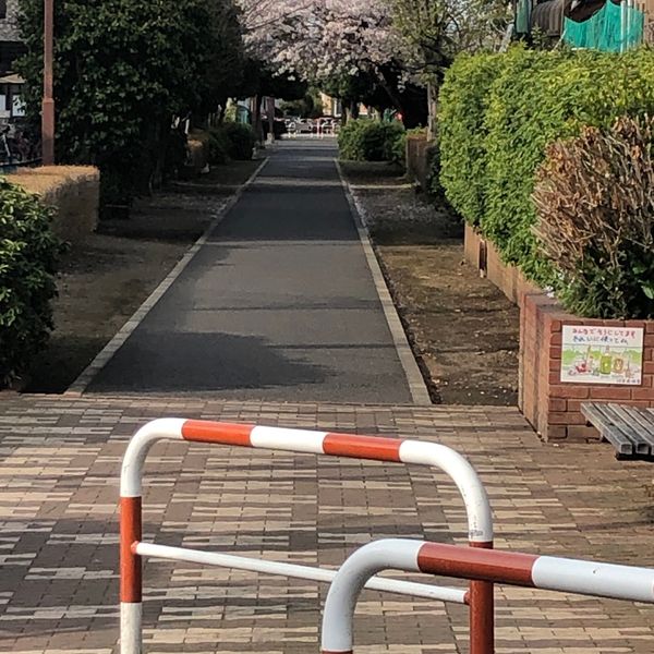 狭山ヶ丘第1緑地 - トップ画像