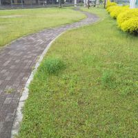 大和小泉駅東第3号公園 - 投稿画像1