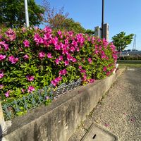 新日吉台公園 - 投稿画像2