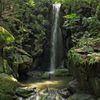 雄飛の滝（成田山新勝寺 境内・成田山公園） - トップ画像