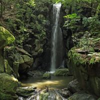 雄飛の滝（成田山新勝寺 境内・成田山公園） - 投稿画像0
