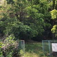 泉が丘西公園 - 投稿画像2