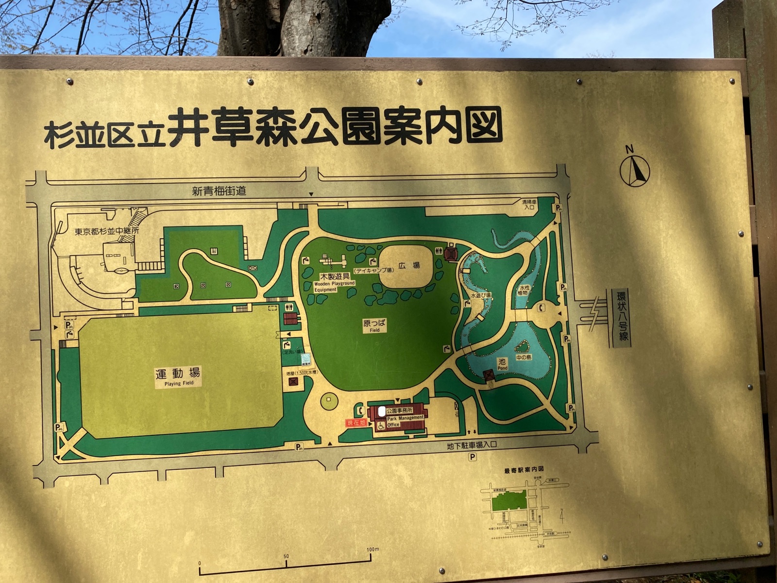 杉並 区立 井草 森 公園