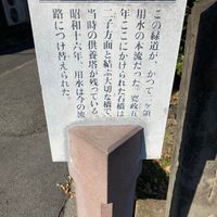 石橋供養塔 - 投稿画像1