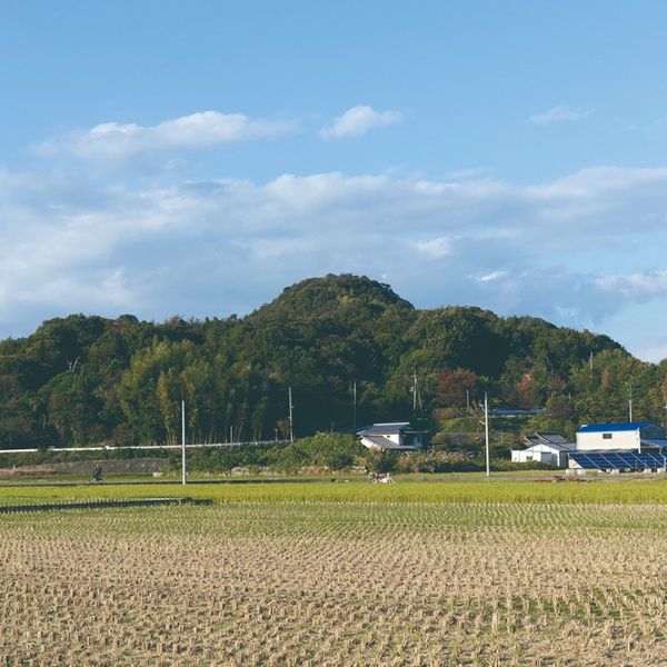 国分山城跡 - おすすめ画像