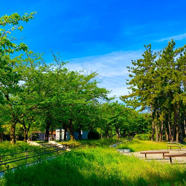 辰巳の森緑道公園 - おすすめ画像