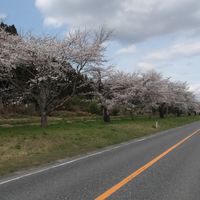 Birusawa-gawa Teibō - 投稿画像1