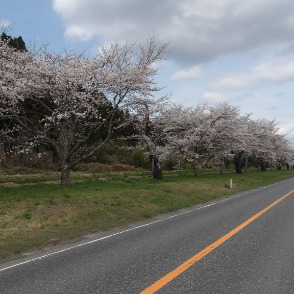 Birusawa-gawa Teibō - おすすめ画像