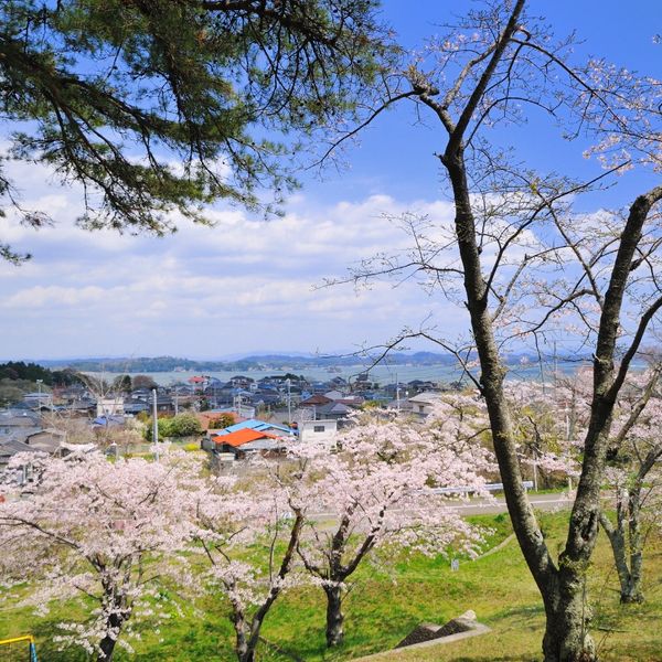 君ヶ岡公園 - トップ画像