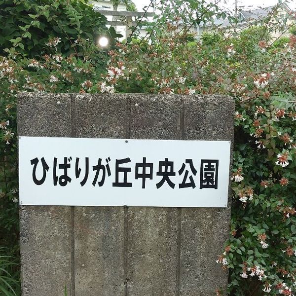 ひばりが丘中央公園 - トップ画像