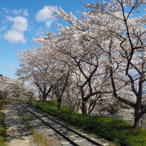 御本丸公園 - おすすめ画像