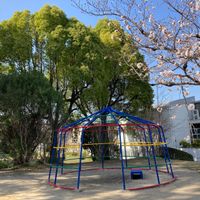 さざんか公園 - 投稿画像1