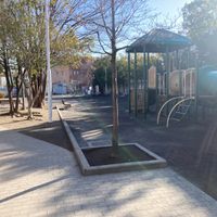 東高津公園 - 投稿画像2