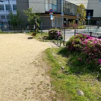 和上公園 - 投稿画像2