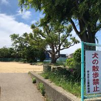 槇島公園 - 投稿画像3
