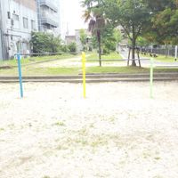田井庄池公園 - 投稿画像3