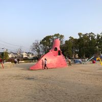 古池公園 - 投稿画像3