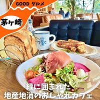 TREX CHIGASAKI OCEAN CAFE - 投稿画像2