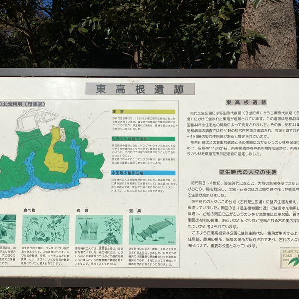 東高根森林公園 東高根遺跡 - トップ画像