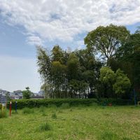 山田下公園 - 投稿画像2