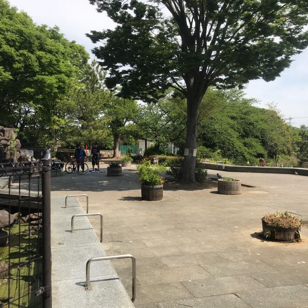 大池親水公園 - トップ画像