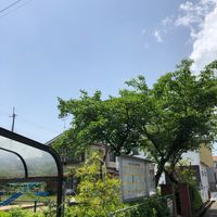 今堀第5幼児公園 - 投稿画像0