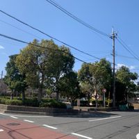 とんがり山中央公園 - 投稿画像0