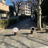 世田谷区中央図書館　裏の広場 - 投稿画像2