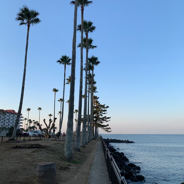 小坪飯島公園 - トップ画像