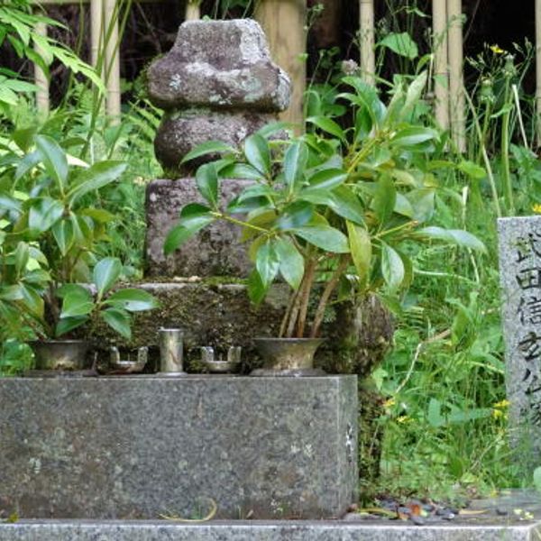 福田寺 - おすすめ画像