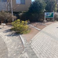 アトラスアリーナ武蔵新城広場 - 投稿画像0