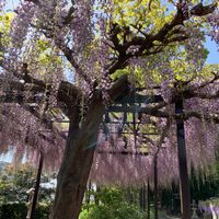 奈加美神社 - 投稿画像3