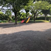 野川公園 - 投稿画像1