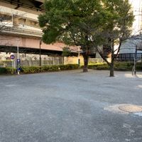 小網町児童遊園 - 投稿画像1